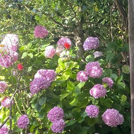 Αρχοντικό Πρεπάλα 度假居