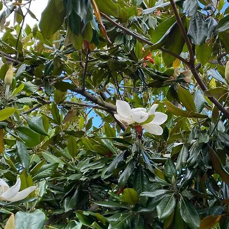 度假居 Αρχοντικό Πρεπάλα 3*