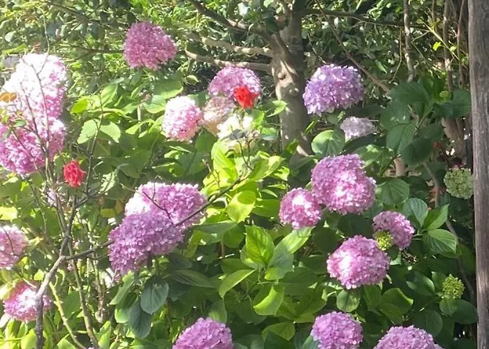 Αρχοντικό Πρεπάλα Dom wakacyjny