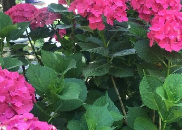 Ferienhaus Αρχοντικό Πρεπάλα