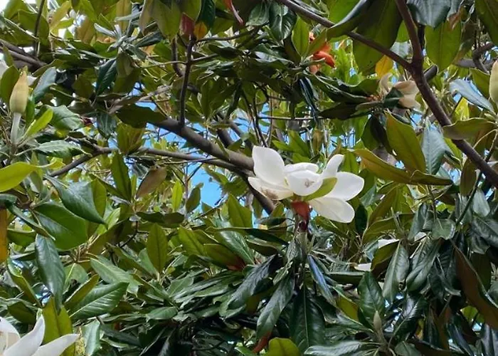 Ferienhaus Αρχοντικό Πρεπάλα 3*